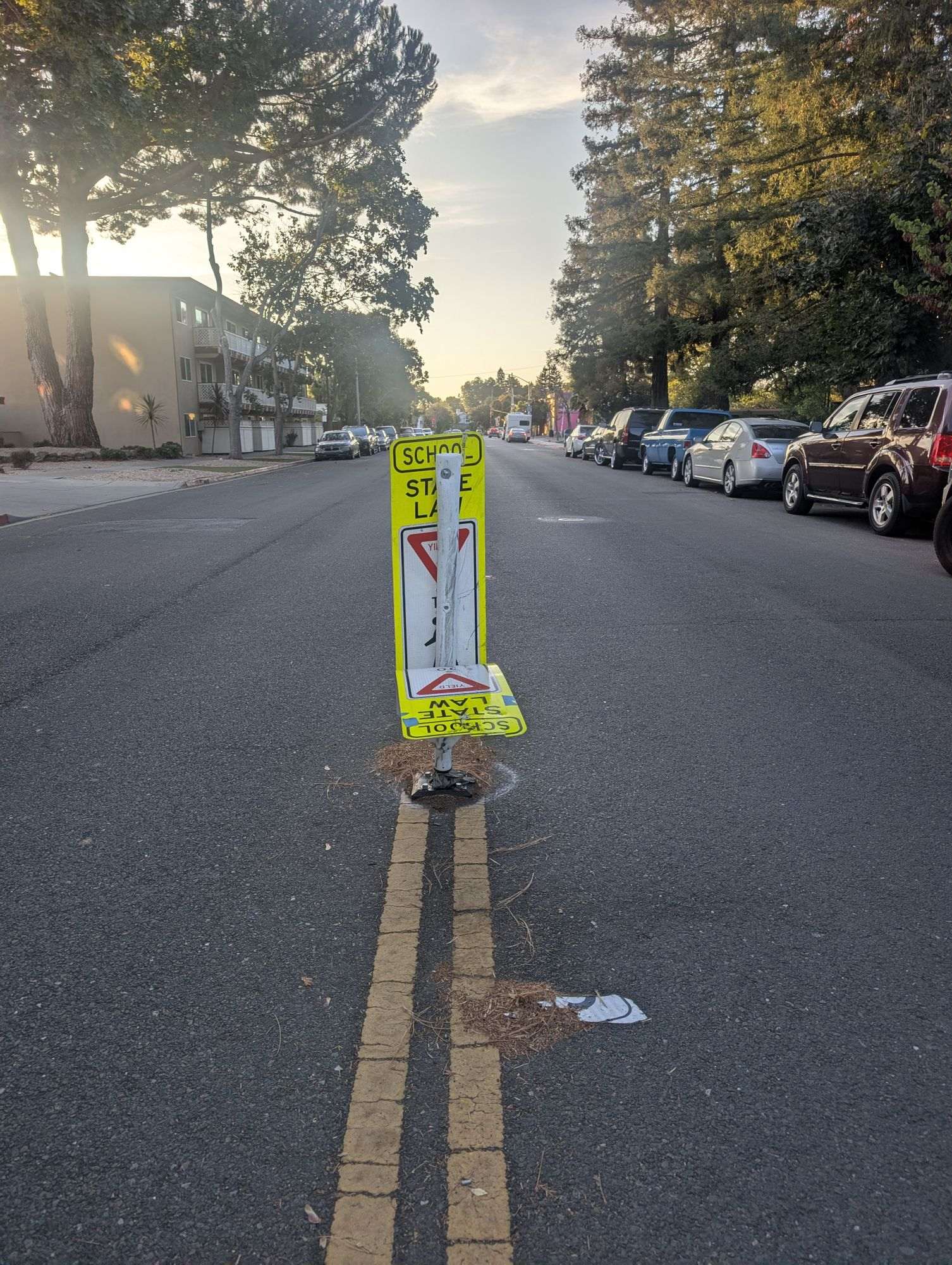 A flexible yellow centerline post reading “SCHOOL, STATE LAW” with a yield sign, standing in the middle of Central Avenue in Mountain View, surrounded by open asphalt and cars parked along both curbs.